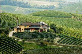 薩塞蒂酒莊 薩塞蒂酒莊