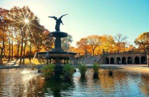 美國紐約中央公園 美國紐約中央公園