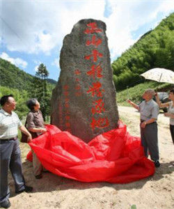 桐木村[福建省武夷山市星村鎮桐木村]