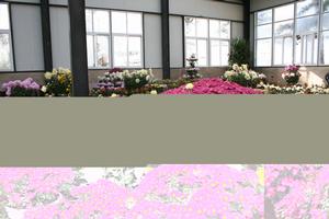 紅螺寺旅遊度假區