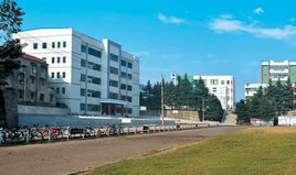 紅安縣第二中學校 紅安縣第二中學校