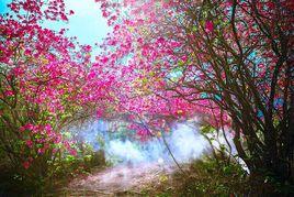 黃獅寨[湖北羅田黃獅寨]