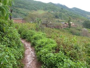 上五嘎路村 上五嘎路村