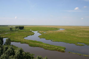 撓力河保護區 撓力河保護區