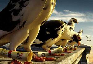 上海沃信廣告有限公司 上海沃信廣告有限公司