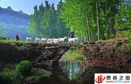 芍藥山鄉 芍藥山鄉