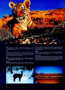 （圖）蘇門答臘島