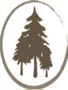 大樹資本 大樹資本