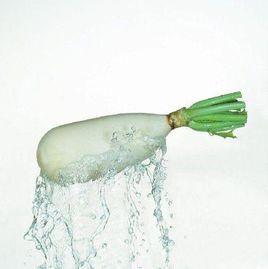 11種蘿蔔食療方法 11種蘿蔔食療方法