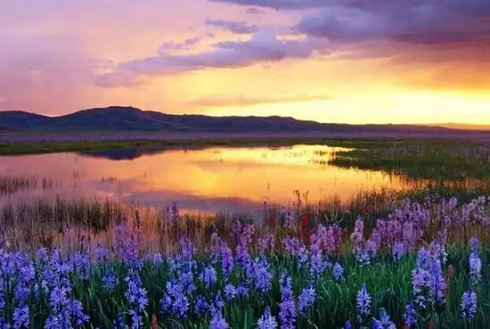 新疆秋天到底有多美?讓無數旅人甘願沉醉……