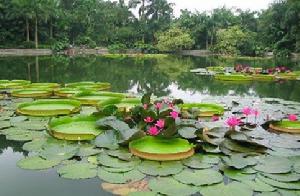 南寧青秀山風景旅遊區