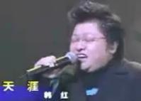 天涯[韓紅演唱歌曲]