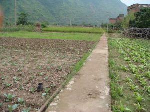 珍珠自然村 珍珠自然村