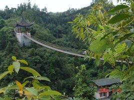 葛藤吊橋 葛藤吊橋