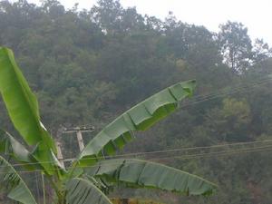 龍一拉村 龍一拉村