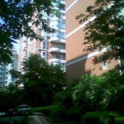 曉初公寓 曉初公寓