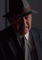 理察&middot;C&middot;薩拉菲安 