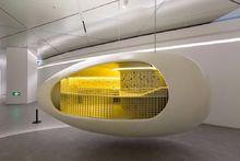 《安藤忠雄展·引領》