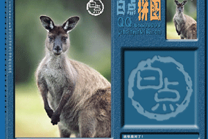 拼圖遊戲之憂傷的袋鼠