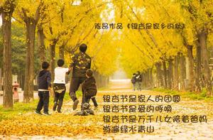 銀杏是家鄉的秋 銀杏是家鄉的秋