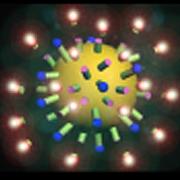 分子影像 分子影像