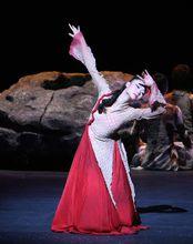 田夢[兒童舞蹈資深教師]