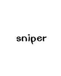 sniper[英文單詞]
