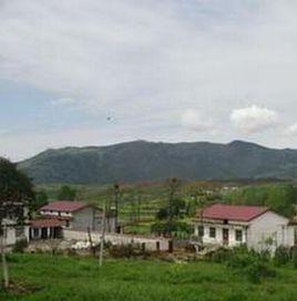 全豐村[陝西省洋縣戚氏鎮轄村]