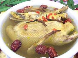 蟲草鴨子 蟲草鴨子