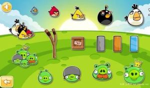 瘋狂的憤怒小鳥 瘋狂的憤怒小鳥