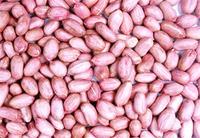 粟米花生白鯽湯