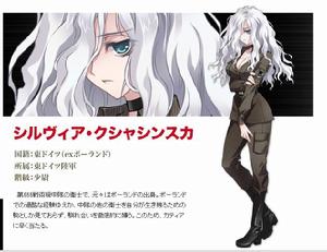 死亡黑標[遊戲「MUV-LUV」所創作的外傳小說]