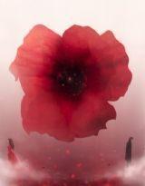 “安蔚”我心 “安蔚”我心