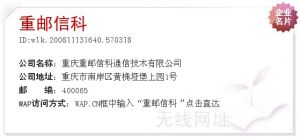 重慶重郵信科(集團)股份有限公司 重慶重郵信科(集團)股份有限公司