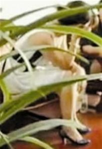 張艷[鮑振華情婦]