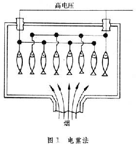 食品煙燻保藏 食品煙燻保藏