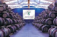 蒙特斯酒莊