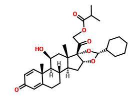 環索奈德 環索奈德