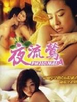 《夜流鶯》 《夜流鶯》