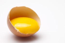 蛋黃指數 蛋黃指數