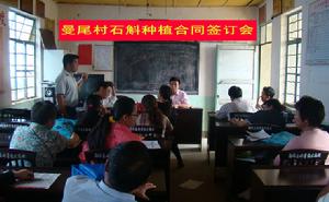 石斛種植契約簽訂