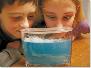 觀察螞蟻的生活，讓人們娛樂身心、啟迪心靈