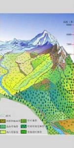 垂直地帶 垂直地帶