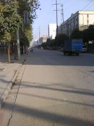 金洋花園 金洋花園