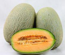 哈密瓜[葫蘆科植物甜瓜的一個品種]