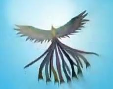 桐竹鳳麟 桐竹鳳麟