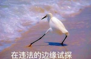 在違法的邊緣試探 在違法的邊緣試探