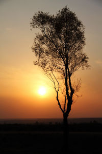 蘇泊罕大草原旅遊景區 蘇泊罕大草原旅遊景區