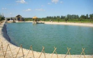 天圓山莊 天圓山莊