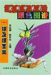 實用中草藥原色圖譜:根及根莖類 實用中草藥原色圖譜:根及根莖類